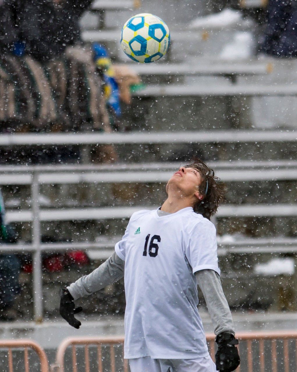 Senior vs. Glacier
